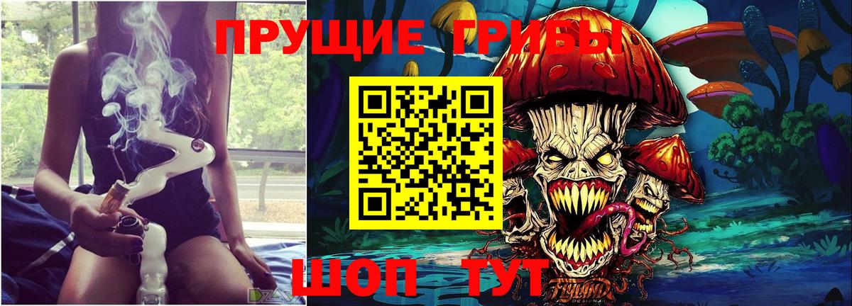 Псилоцибиновые грибы Psilocybine cubensis Приморско-Ахтарск